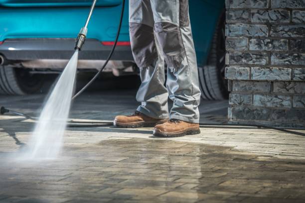 Best Driveway Pressure Washing  in Fern Park, FL