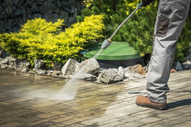 Pre-Holiday Cleaning in Fern Park, FL